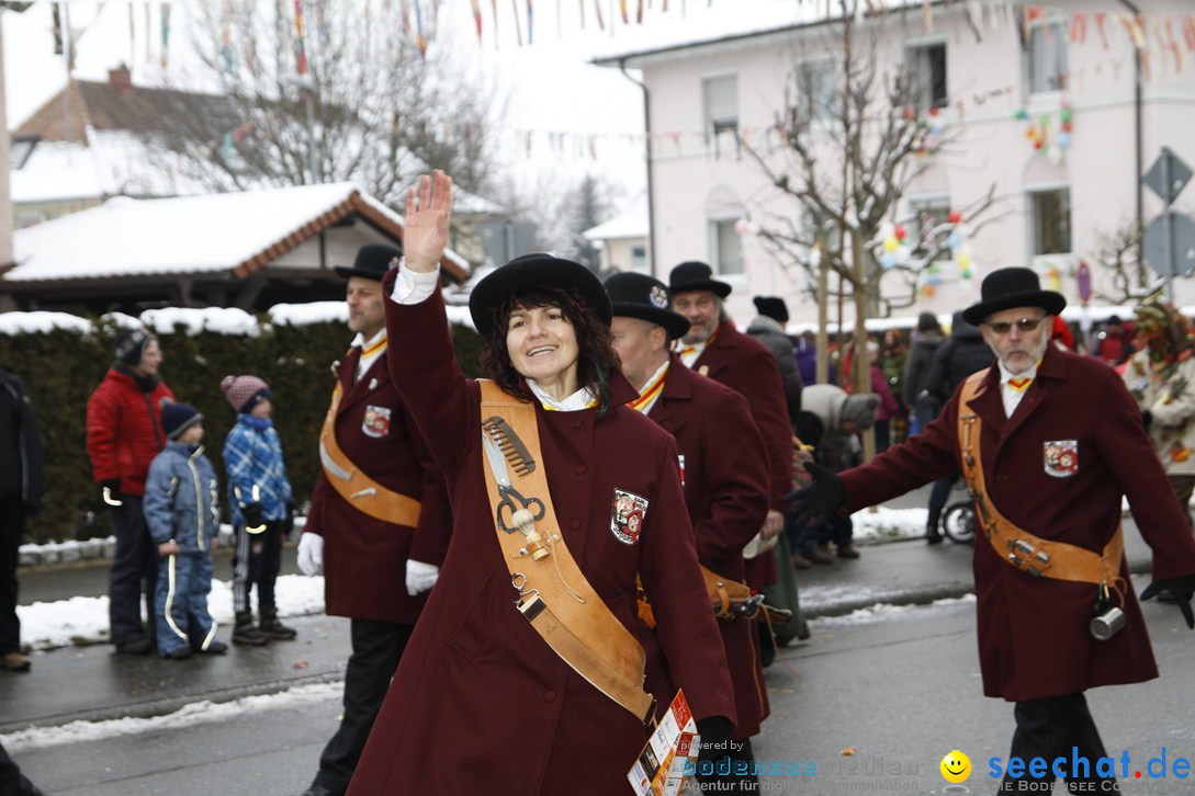 Narrentreffen-Radolfzell-20012013-bodensee-community-seechat-de_38.JPG