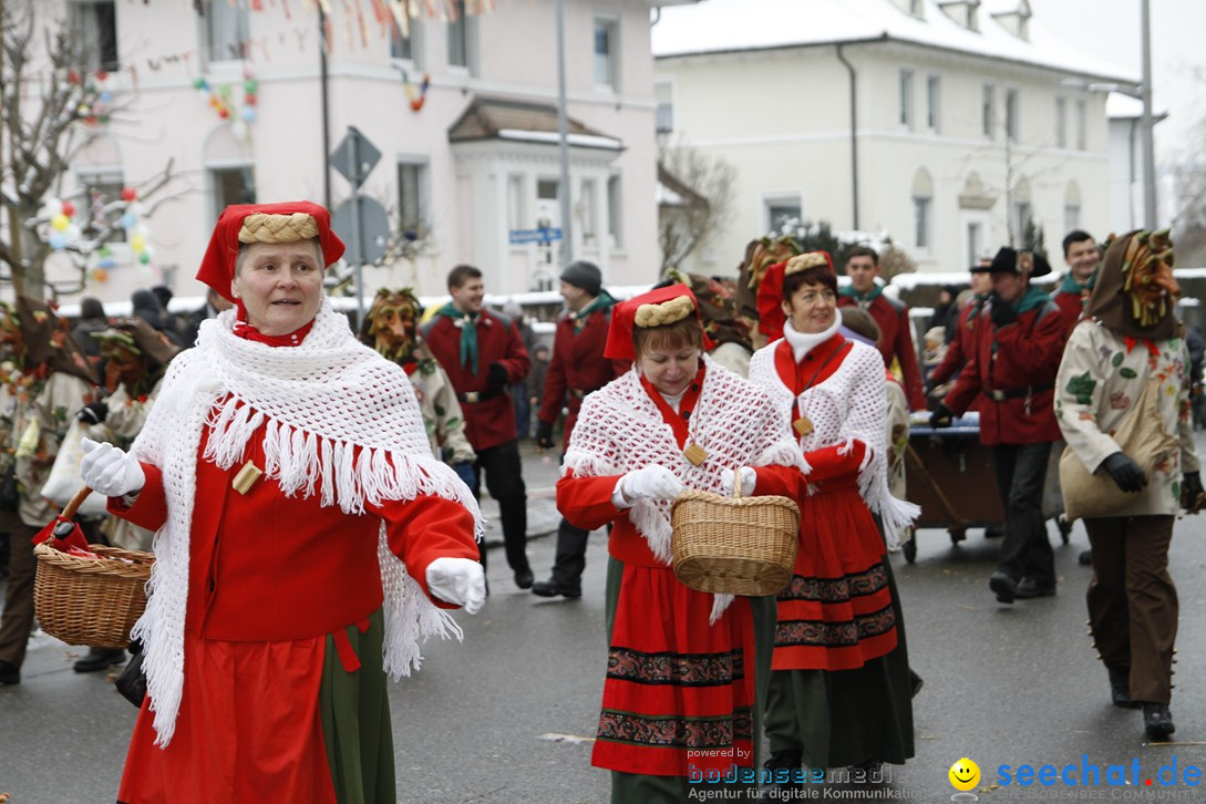 Narrentreffen-Radolfzell-20012013-bodensee-community-seechat-de_380.JPG