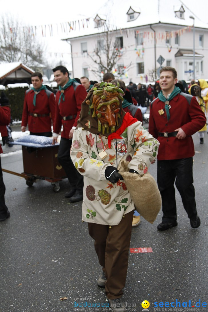 Narrentreffen-Radolfzell-20012013-bodensee-community-seechat-de_381.JPG