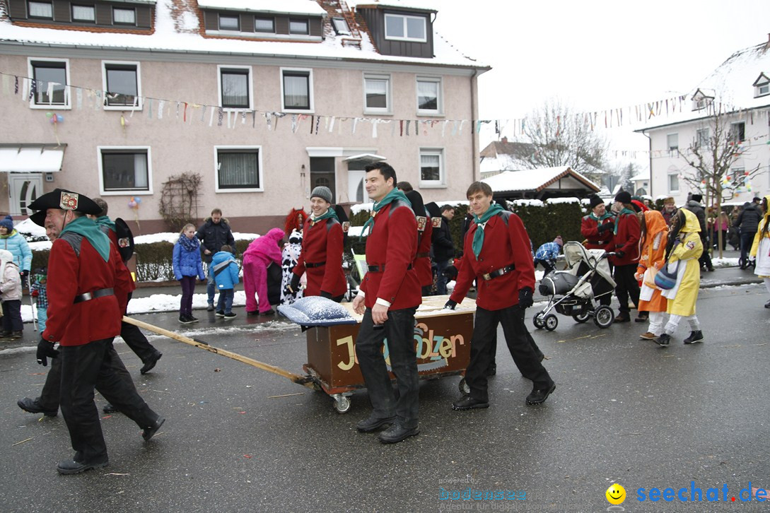 Narrentreffen-Radolfzell-20012013-bodensee-community-seechat-de_382.JPG