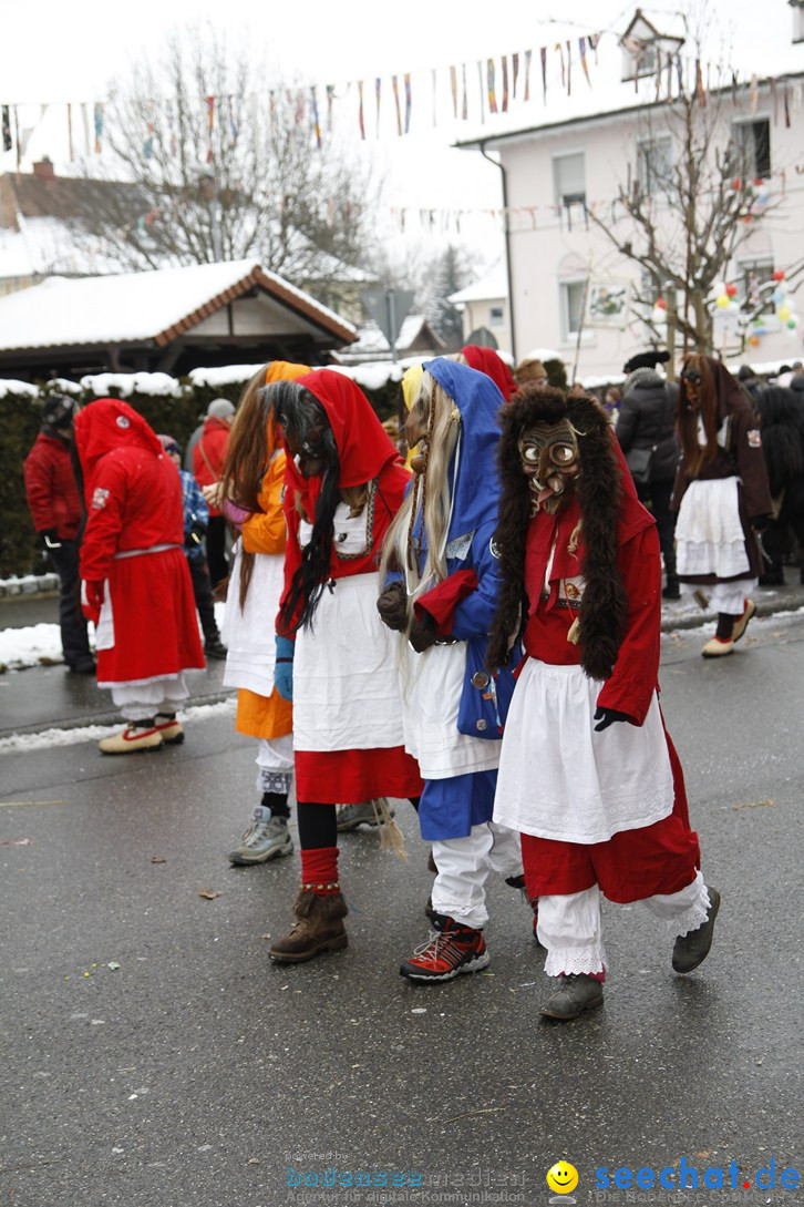 Narrentreffen-Radolfzell-20012013-bodensee-community-seechat-de_383.JPG