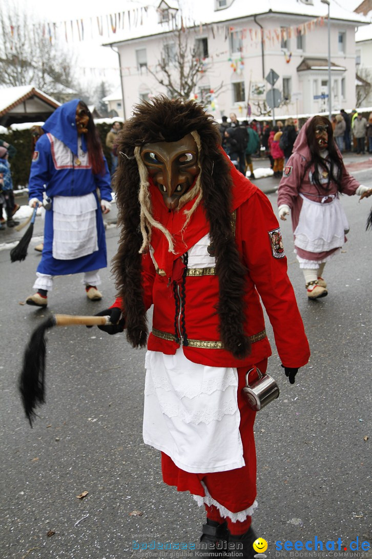 Narrentreffen-Radolfzell-20012013-bodensee-community-seechat-de_384.JPG