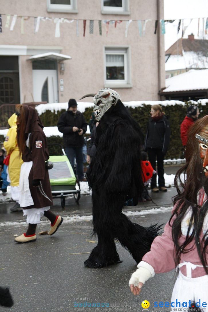 Narrentreffen-Radolfzell-20012013-bodensee-community-seechat-de_385.JPG