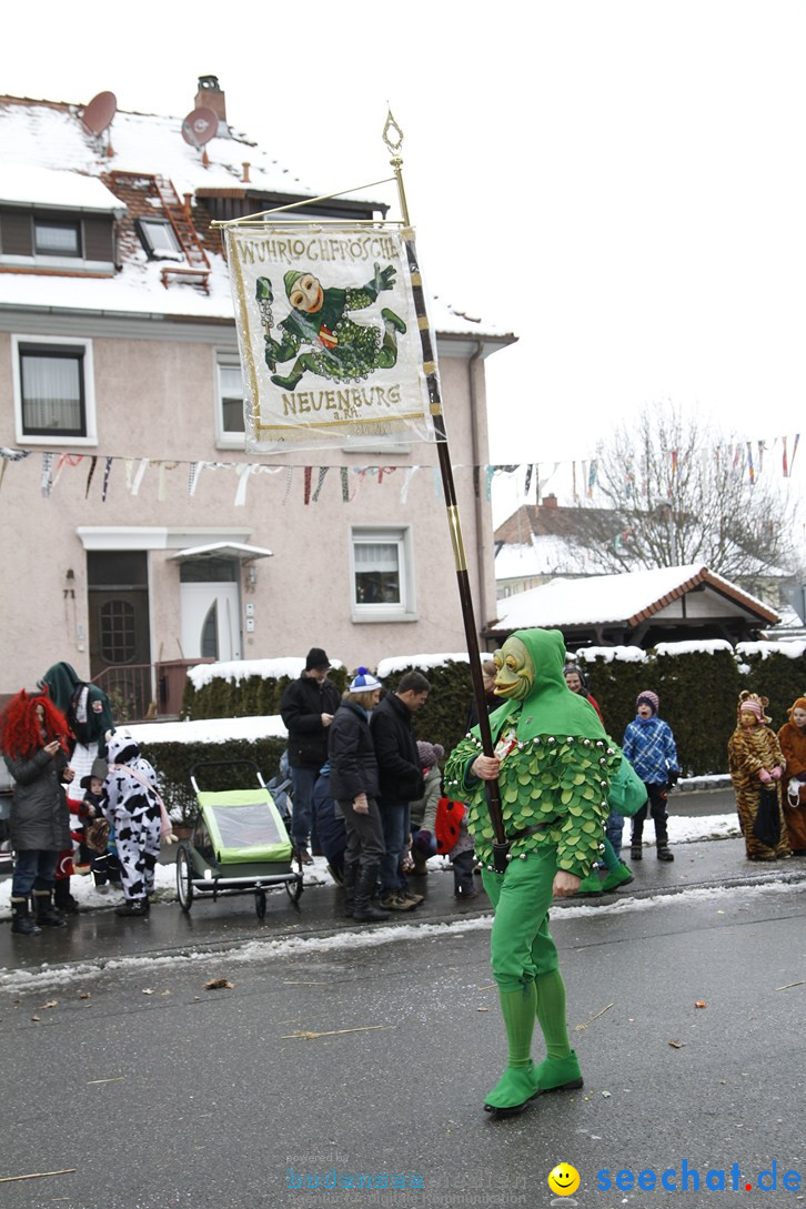 Narrentreffen-Radolfzell-20012013-bodensee-community-seechat-de_386.JPG