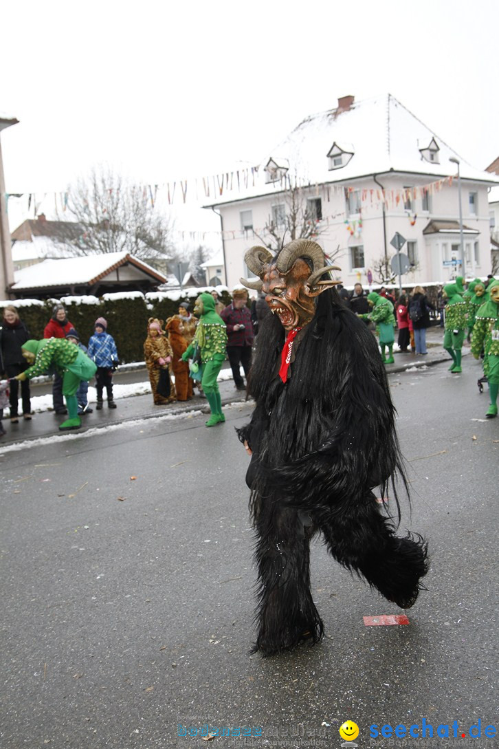 Narrentreffen-Radolfzell-20012013-bodensee-community-seechat-de_387.JPG