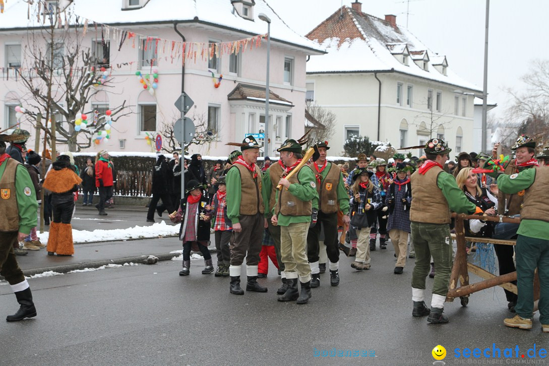 Narrentreffen-Radolfzell-20012013-bodensee-community-seechat-de_389.JPG