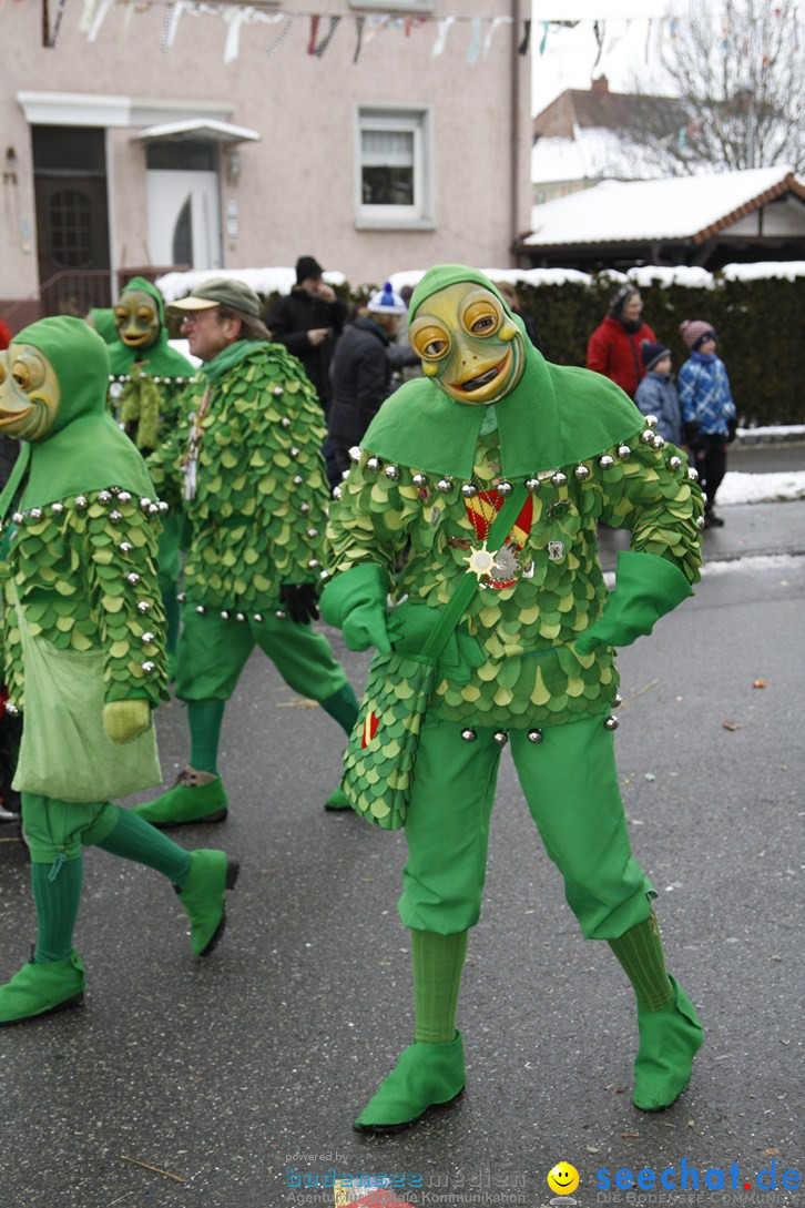 Narrentreffen-Radolfzell-20012013-bodensee-community-seechat-de_390.JPG