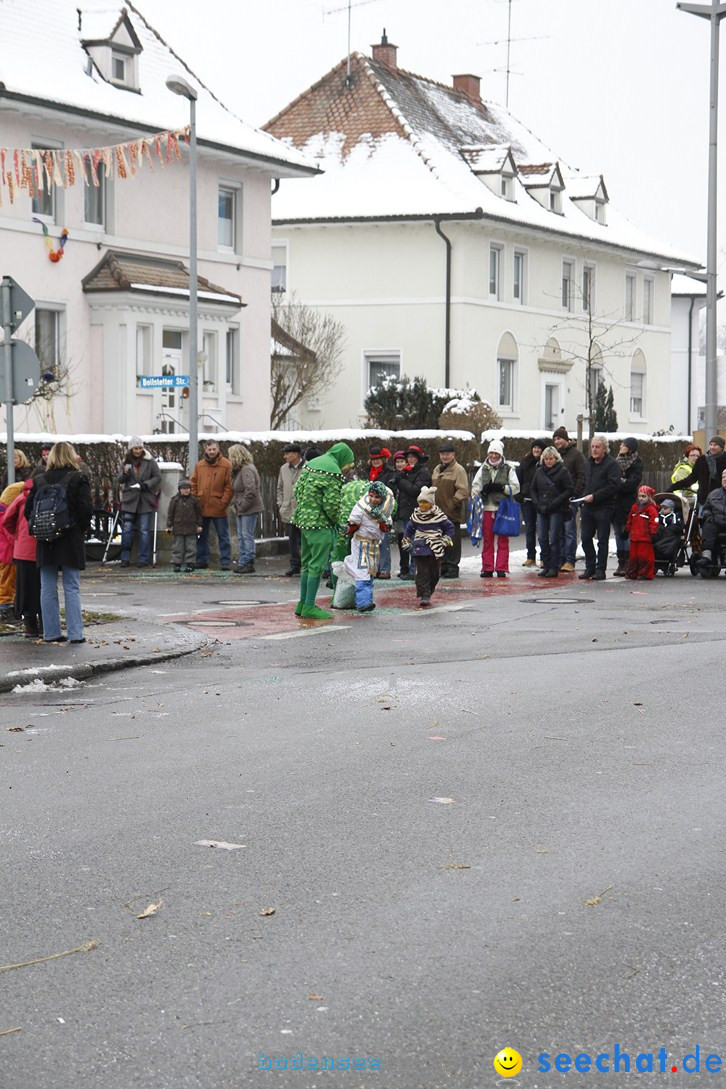 Narrentreffen-Radolfzell-20012013-bodensee-community-seechat-de_392.JPG