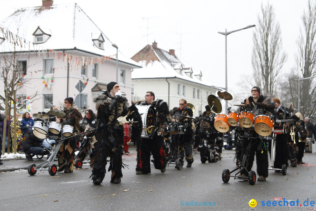 Narrentreffen-Radolfzell-20012013-bodensee-community-seechat-de_395.JPG