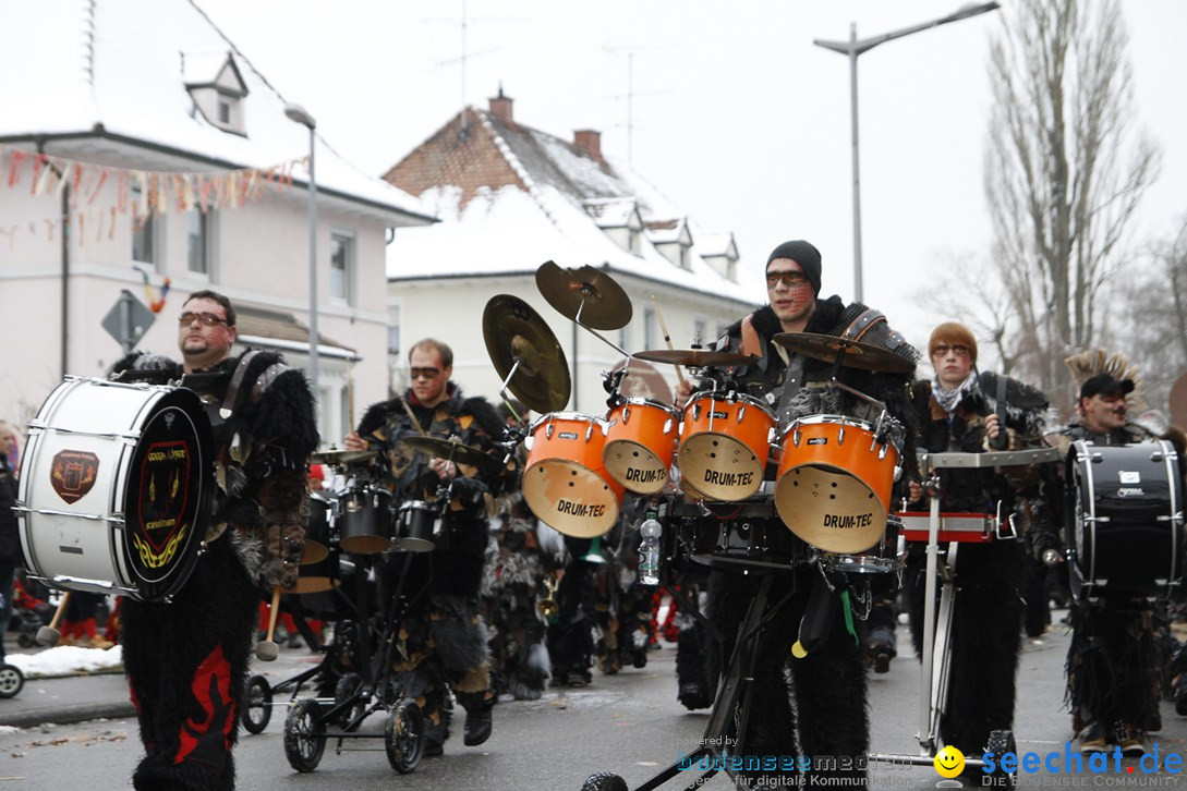 Narrentreffen-Radolfzell-20012013-bodensee-community-seechat-de_396.JPG