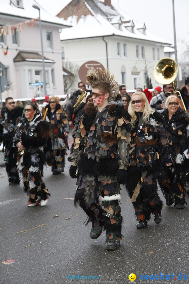 Narrentreffen-Radolfzell-20012013-bodensee-community-seechat-de_397.JPG