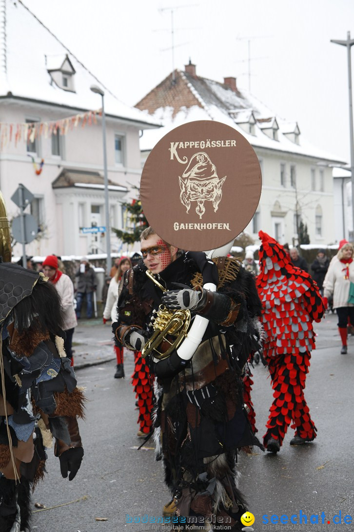 Narrentreffen-Radolfzell-20012013-bodensee-community-seechat-de_398.JPG