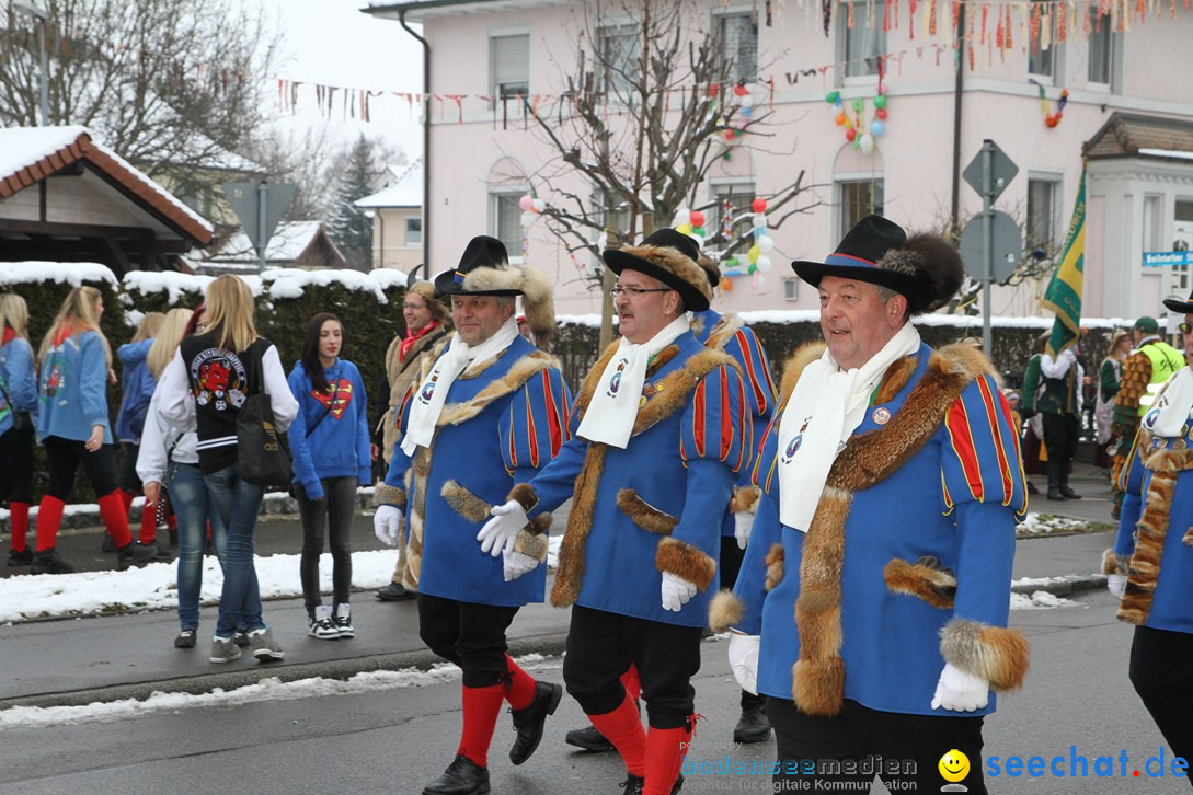 Narrentreffen-Radolfzell-20012013-bodensee-community-seechat-de_399.JPG