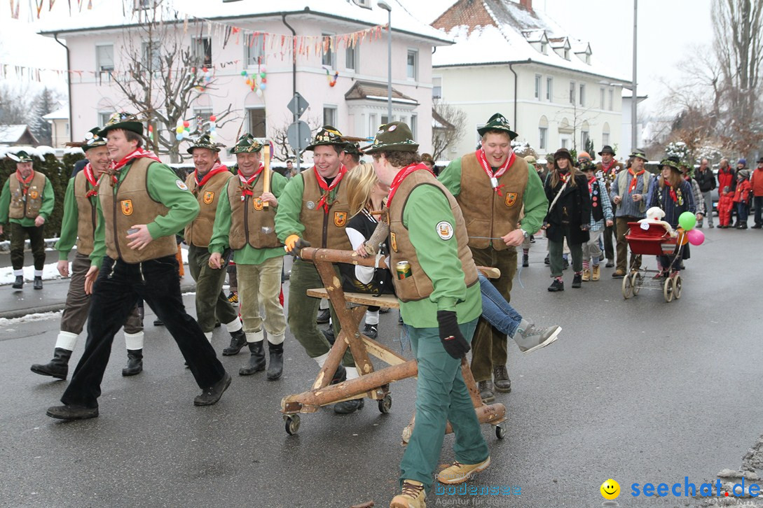 Narrentreffen-Radolfzell-20012013-bodensee-community-seechat-de_4.JPG