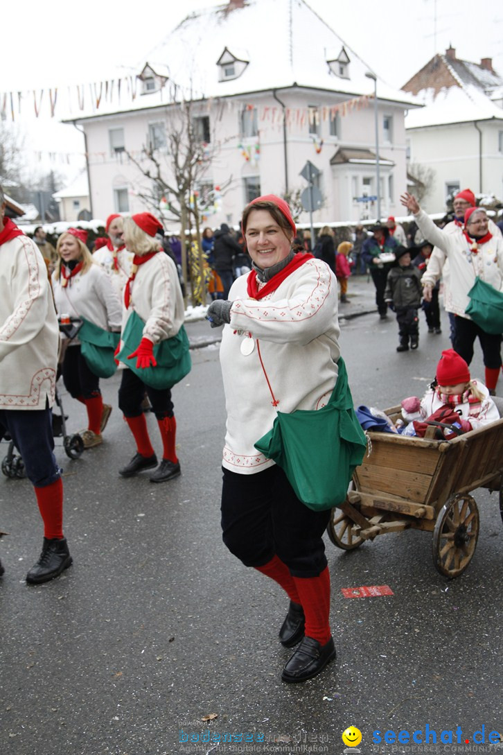 Narrentreffen-Radolfzell-20012013-bodensee-community-seechat-de_40.JPG