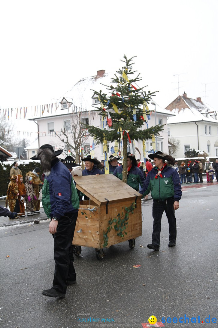 Narrentreffen-Radolfzell-20012013-bodensee-community-seechat-de_400.JPG