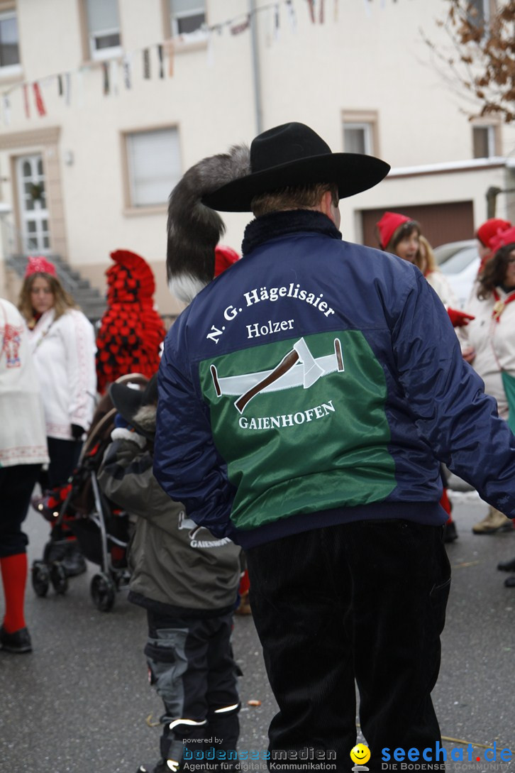 Narrentreffen-Radolfzell-20012013-bodensee-community-seechat-de_402.JPG