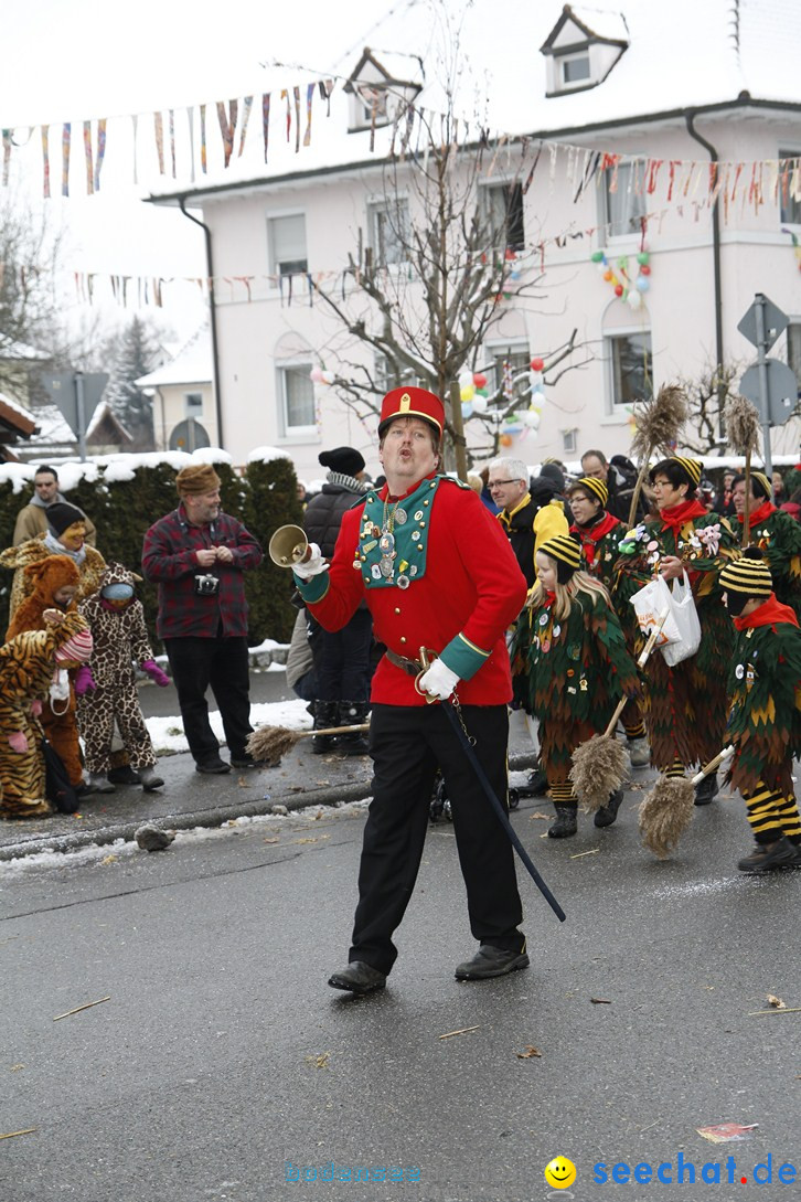 Narrentreffen-Radolfzell-20012013-bodensee-community-seechat-de_403.JPG