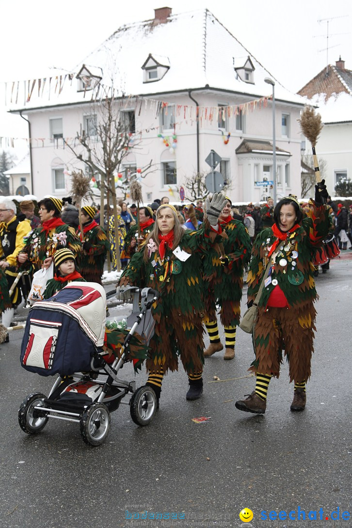 Narrentreffen-Radolfzell-20012013-bodensee-community-seechat-de_404.JPG