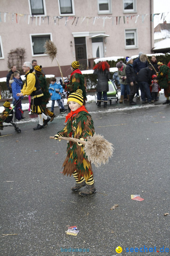 Narrentreffen-Radolfzell-20012013-bodensee-community-seechat-de_405.JPG