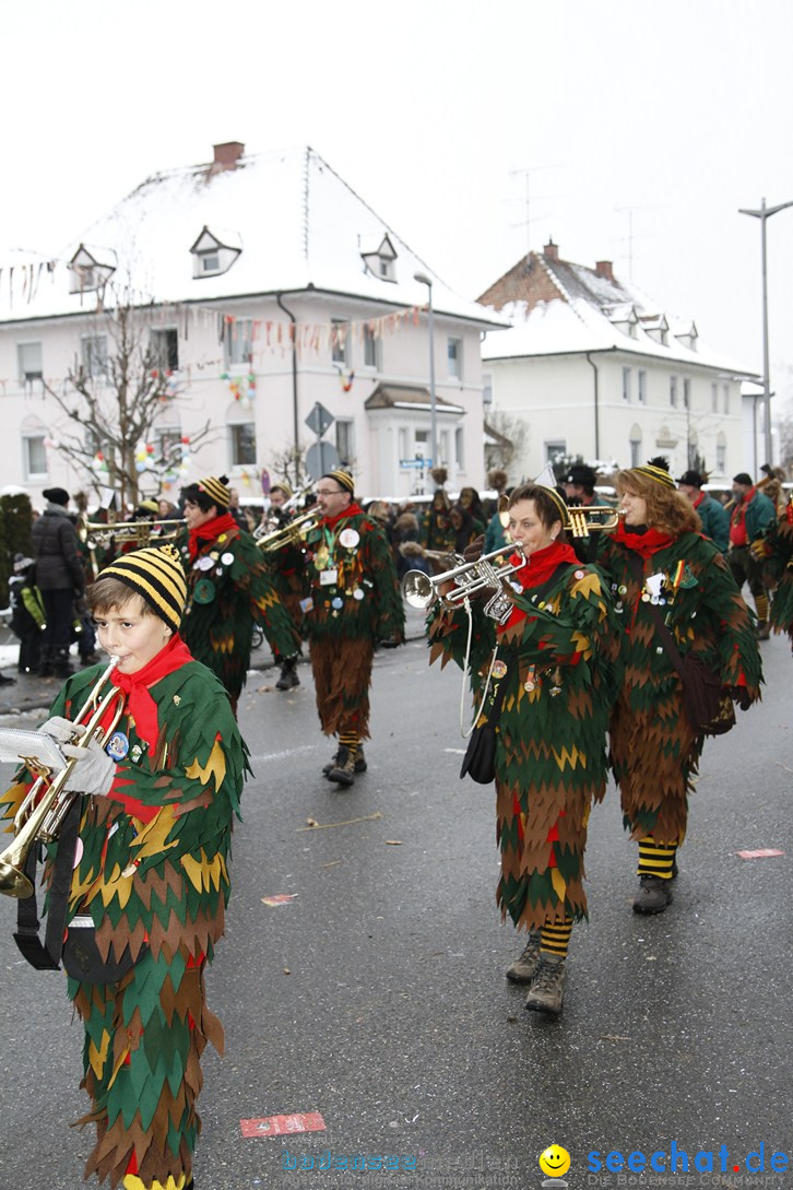 Narrentreffen-Radolfzell-20012013-bodensee-community-seechat-de_406.JPG