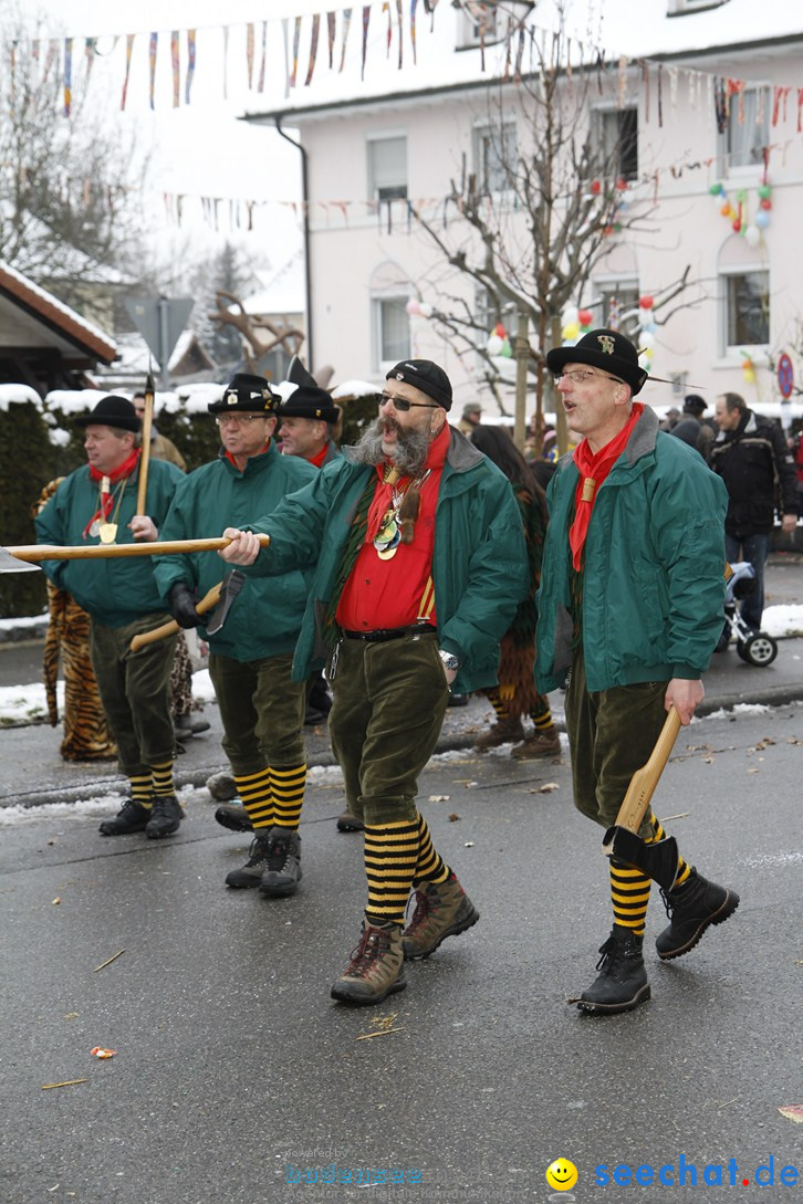 Narrentreffen-Radolfzell-20012013-bodensee-community-seechat-de_407.JPG