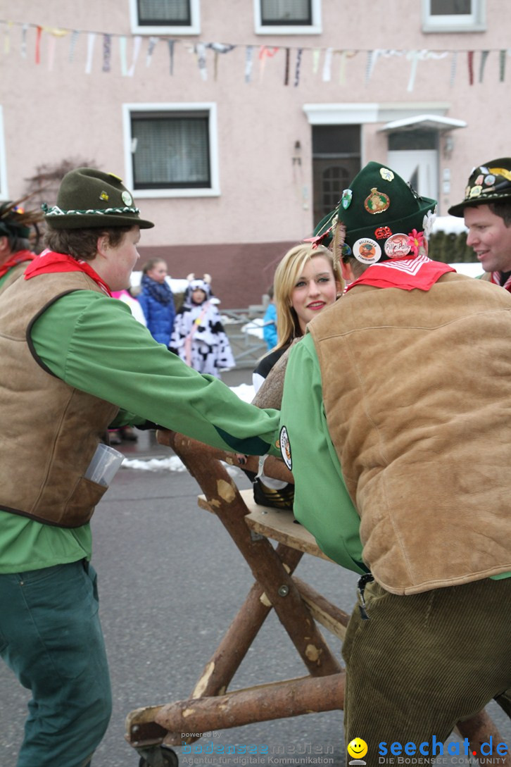 Narrentreffen-Radolfzell-20012013-bodensee-community-seechat-de_409.JPG