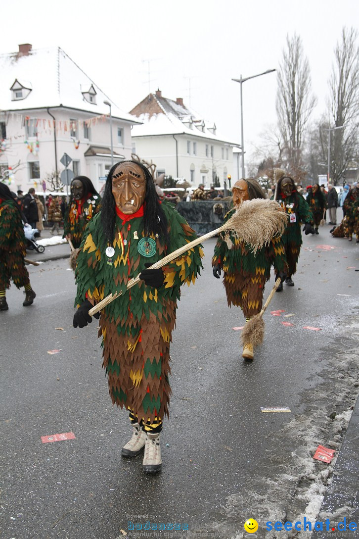 Narrentreffen-Radolfzell-20012013-bodensee-community-seechat-de_41.JPG