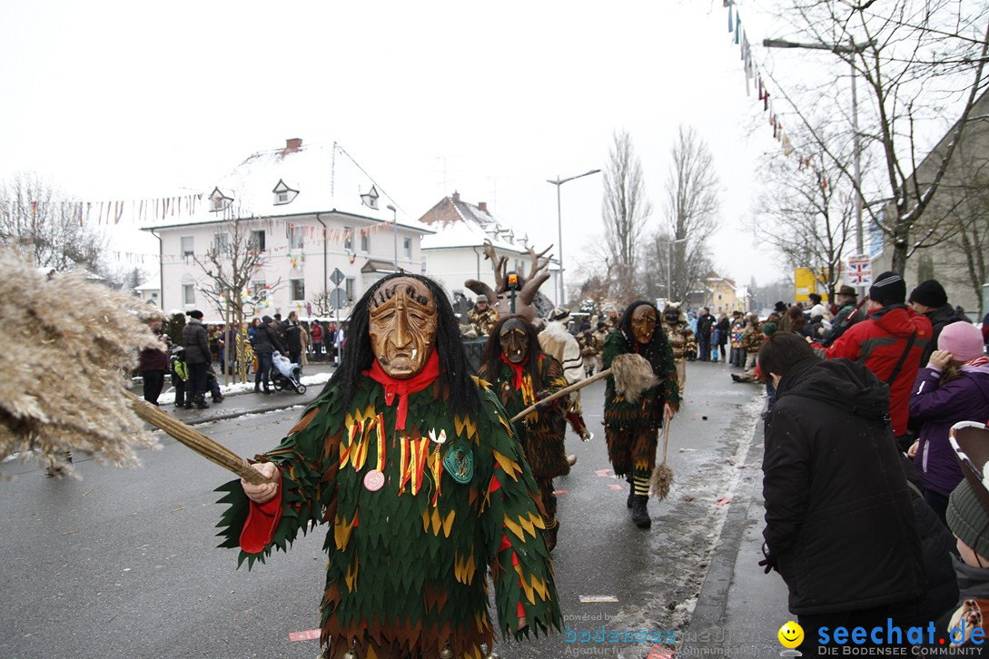 Narrentreffen-Radolfzell-20012013-bodensee-community-seechat-de_411.JPG