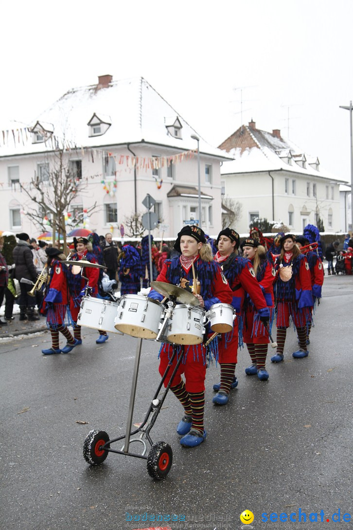 Narrentreffen-Radolfzell-20012013-bodensee-community-seechat-de_415.JPG