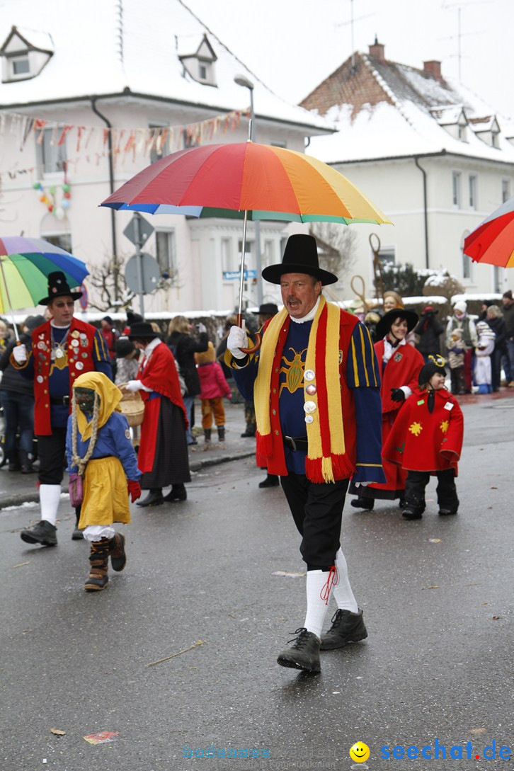 Narrentreffen-Radolfzell-20012013-bodensee-community-seechat-de_42.JPG