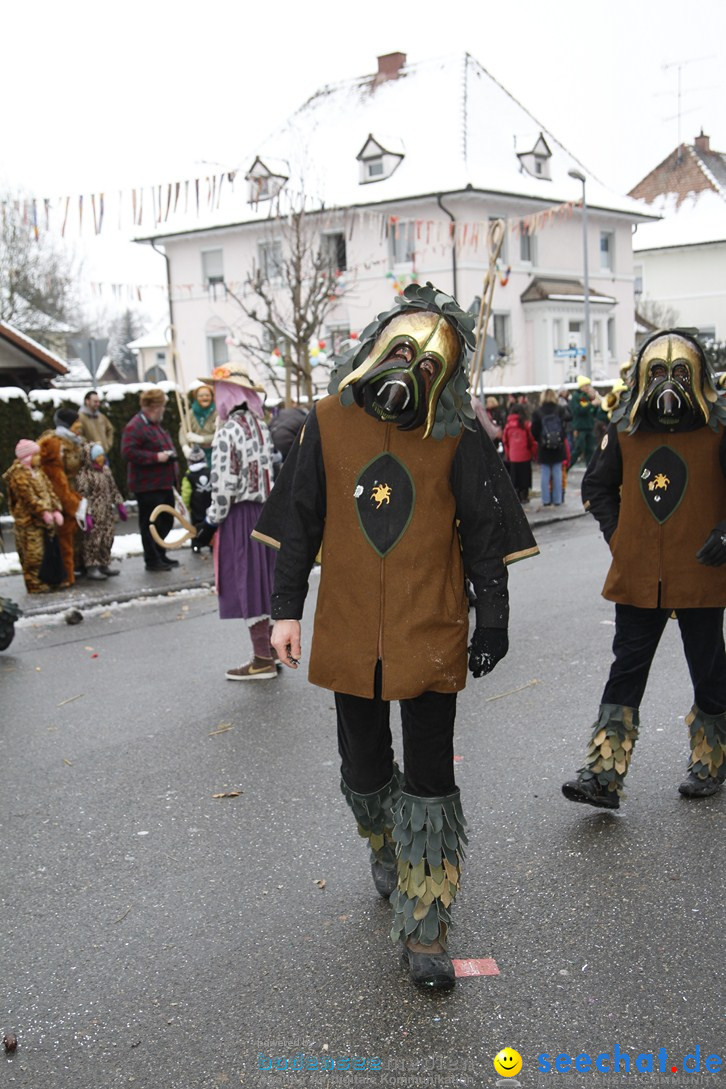 Narrentreffen-Radolfzell-20012013-bodensee-community-seechat-de_420.JPG