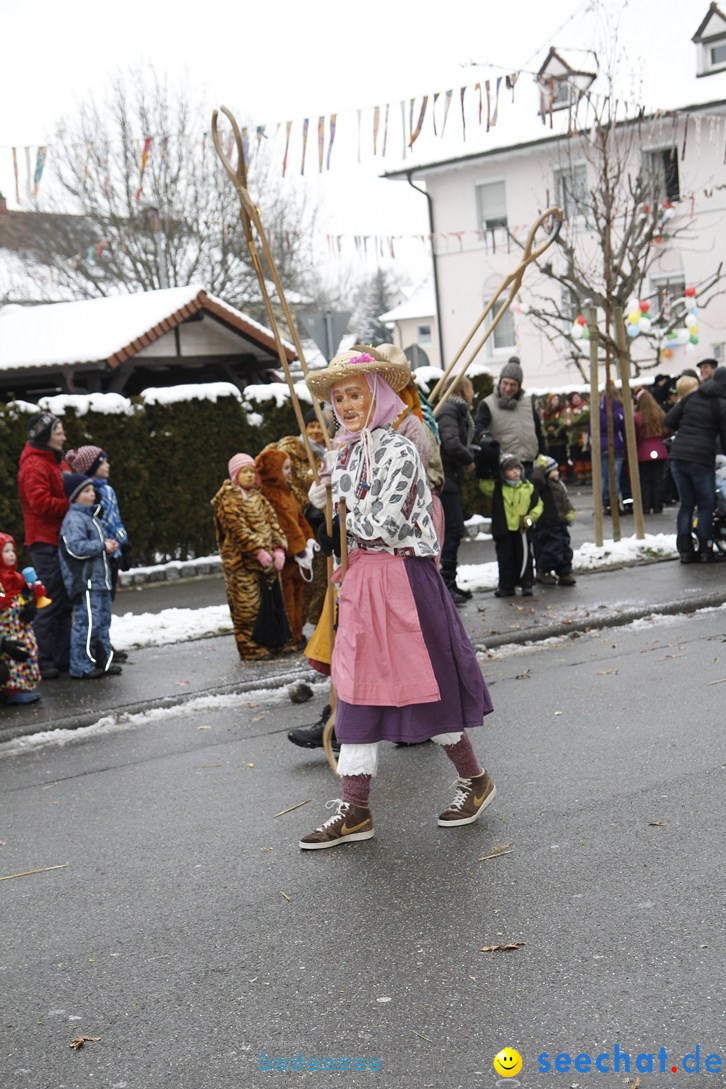 Narrentreffen-Radolfzell-20012013-bodensee-community-seechat-de_421.JPG