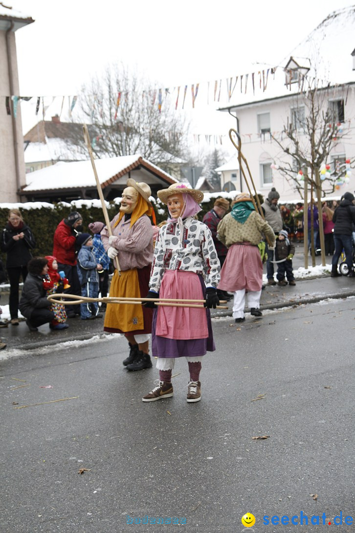 Narrentreffen-Radolfzell-20012013-bodensee-community-seechat-de_422.JPG