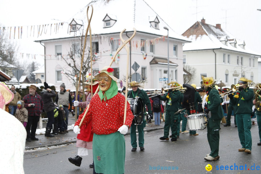 Narrentreffen-Radolfzell-20012013-bodensee-community-seechat-de_423.JPG