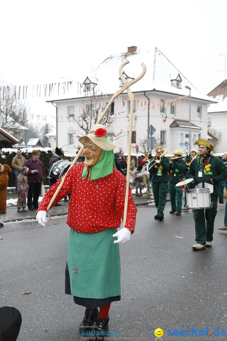 Narrentreffen-Radolfzell-20012013-bodensee-community-seechat-de_424.JPG