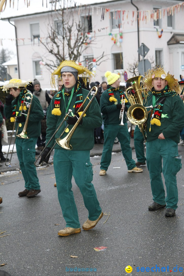 Narrentreffen-Radolfzell-20012013-bodensee-community-seechat-de_425.JPG