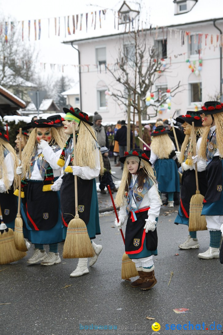 Narrentreffen-Radolfzell-20012013-bodensee-community-seechat-de_426.JPG