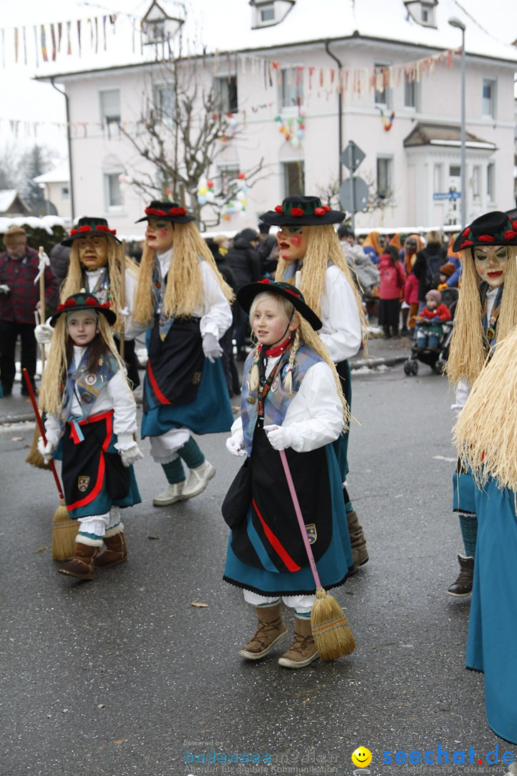 Narrentreffen-Radolfzell-20012013-bodensee-community-seechat-de_427.JPG