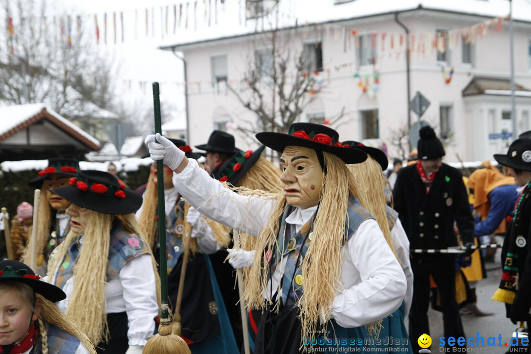 Narrentreffen-Radolfzell-20012013-bodensee-community-seechat-de_428.JPG