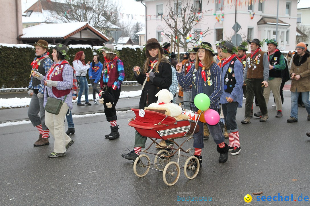 Narrentreffen-Radolfzell-20012013-bodensee-community-seechat-de_429.JPG