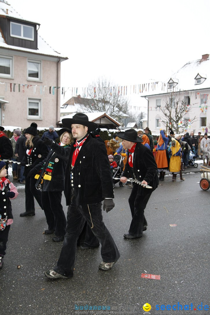 Narrentreffen-Radolfzell-20012013-bodensee-community-seechat-de_43.JPG