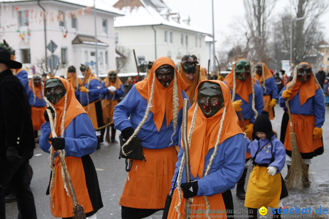 Narrentreffen-Radolfzell-20012013-bodensee-community-seechat-de_431.JPG