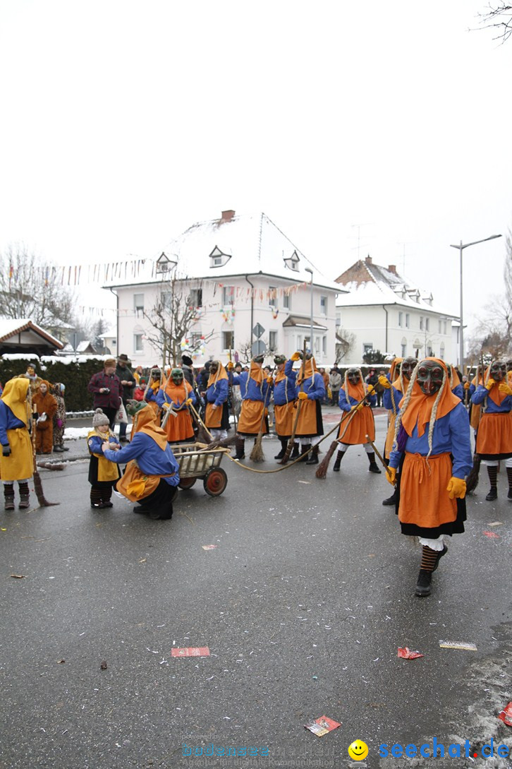 Narrentreffen-Radolfzell-20012013-bodensee-community-seechat-de_432.JPG