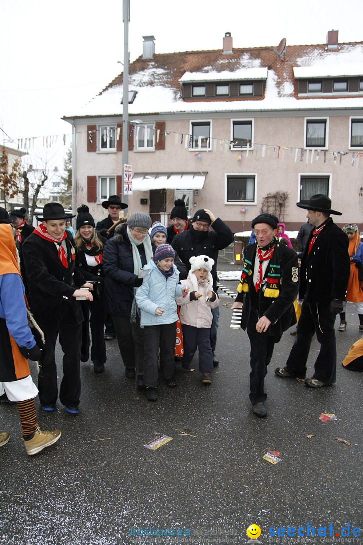 Narrentreffen-Radolfzell-20012013-bodensee-community-seechat-de_433.JPG