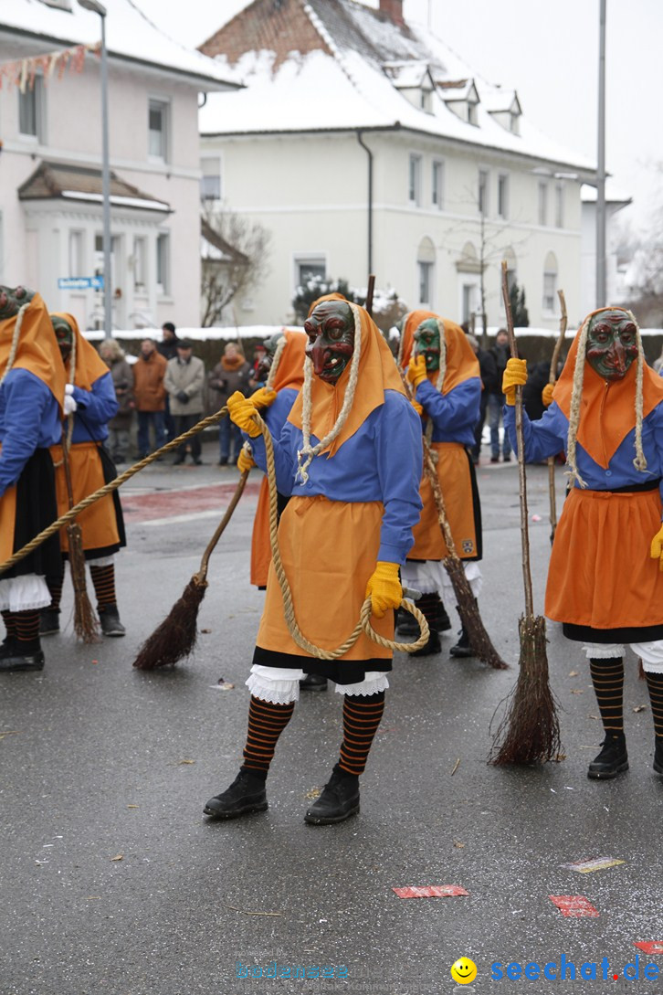 Narrentreffen-Radolfzell-20012013-bodensee-community-seechat-de_434.JPG