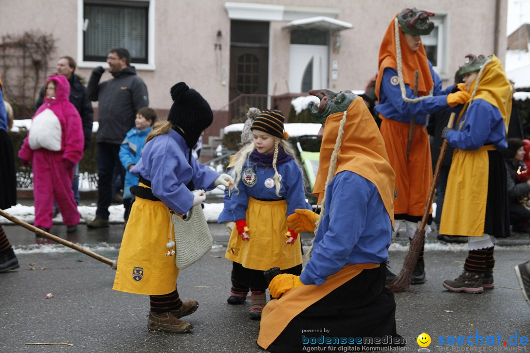 Narrentreffen-Radolfzell-20012013-bodensee-community-seechat-de_435.JPG