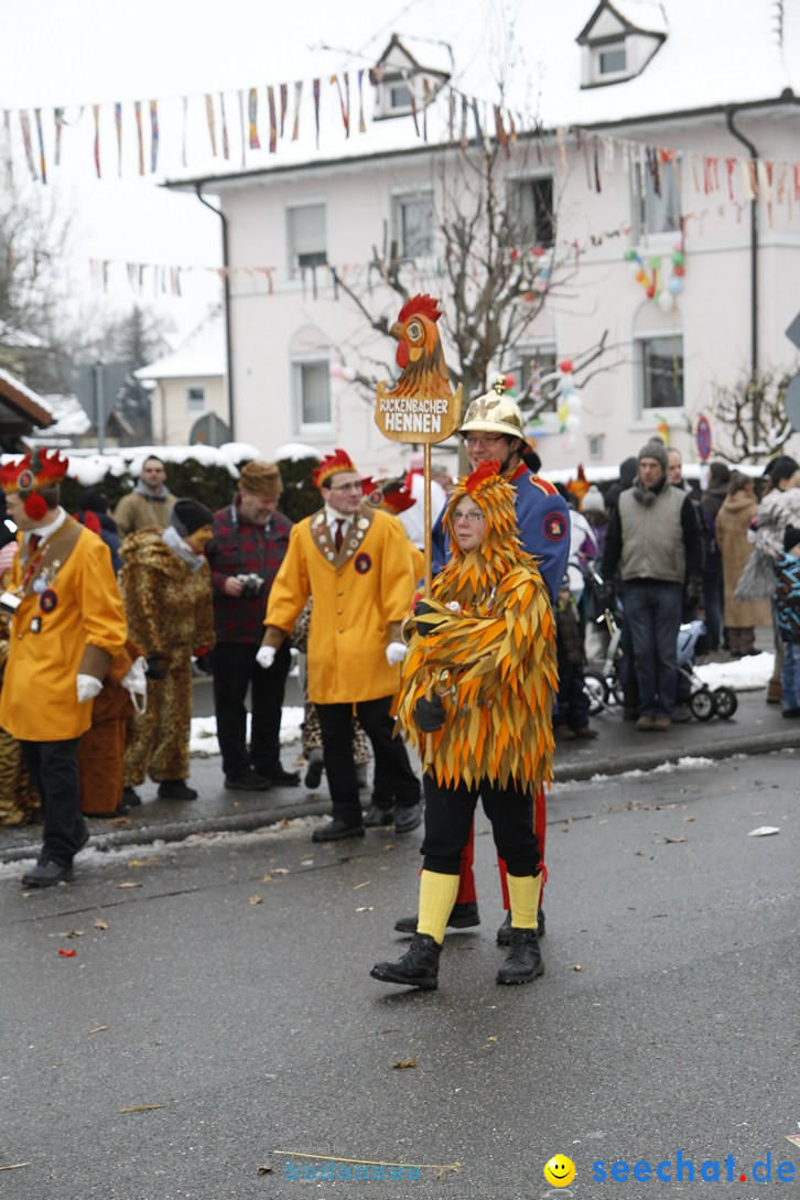 Narrentreffen-Radolfzell-20012013-bodensee-community-seechat-de_437.JPG