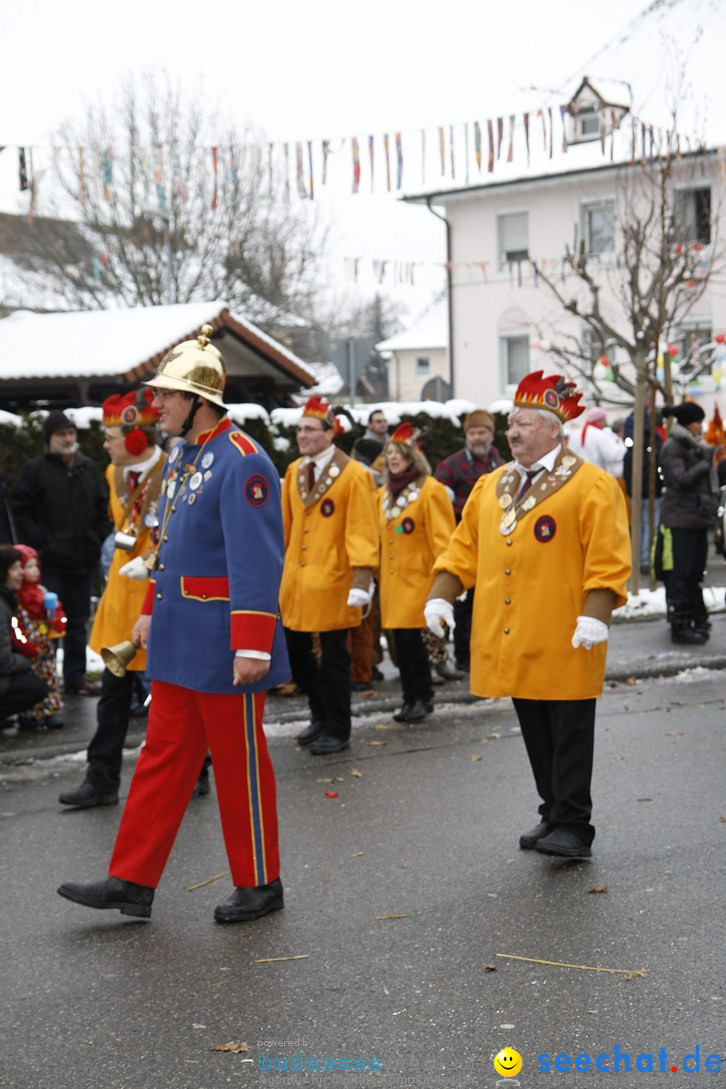 Narrentreffen-Radolfzell-20012013-bodensee-community-seechat-de_438.JPG