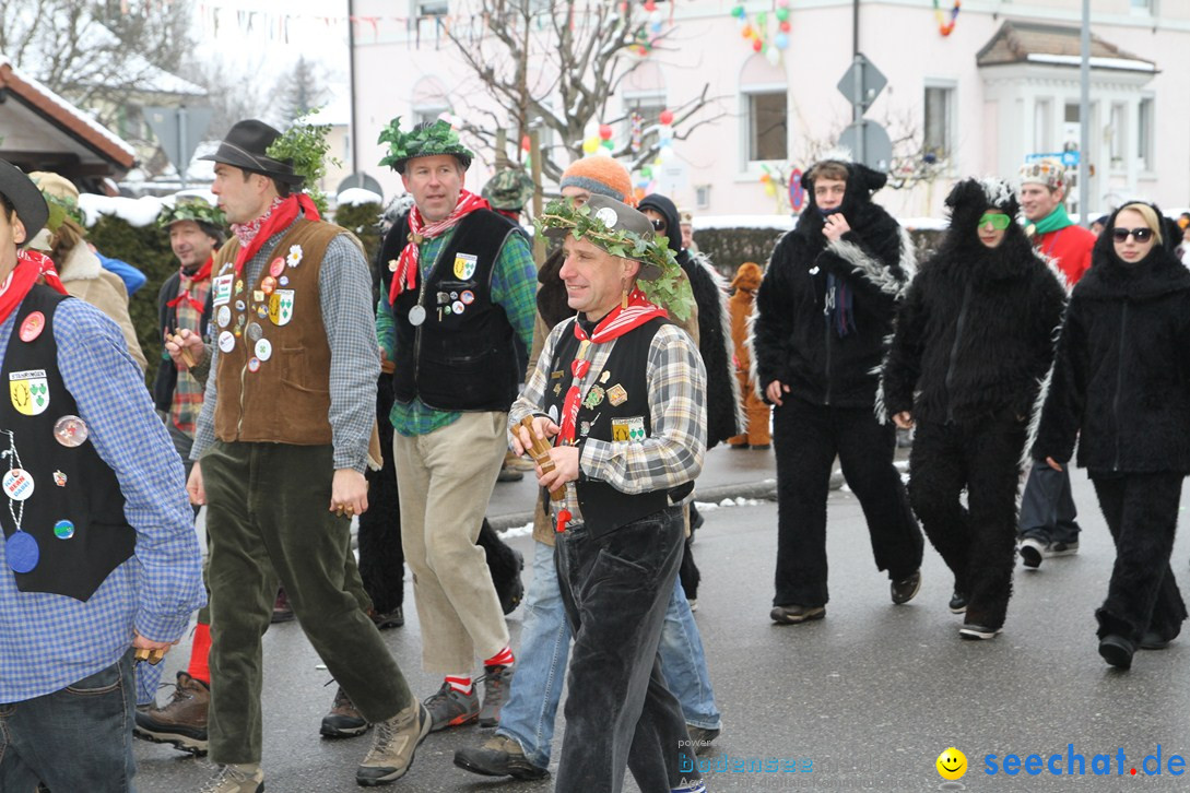 Narrentreffen-Radolfzell-20012013-bodensee-community-seechat-de_439.JPG